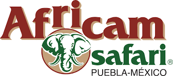 Africam Safari